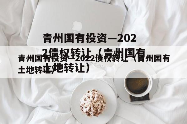 青州国有投资—2022债权转让（青州国有土地转让）